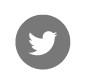 boton-twtter
